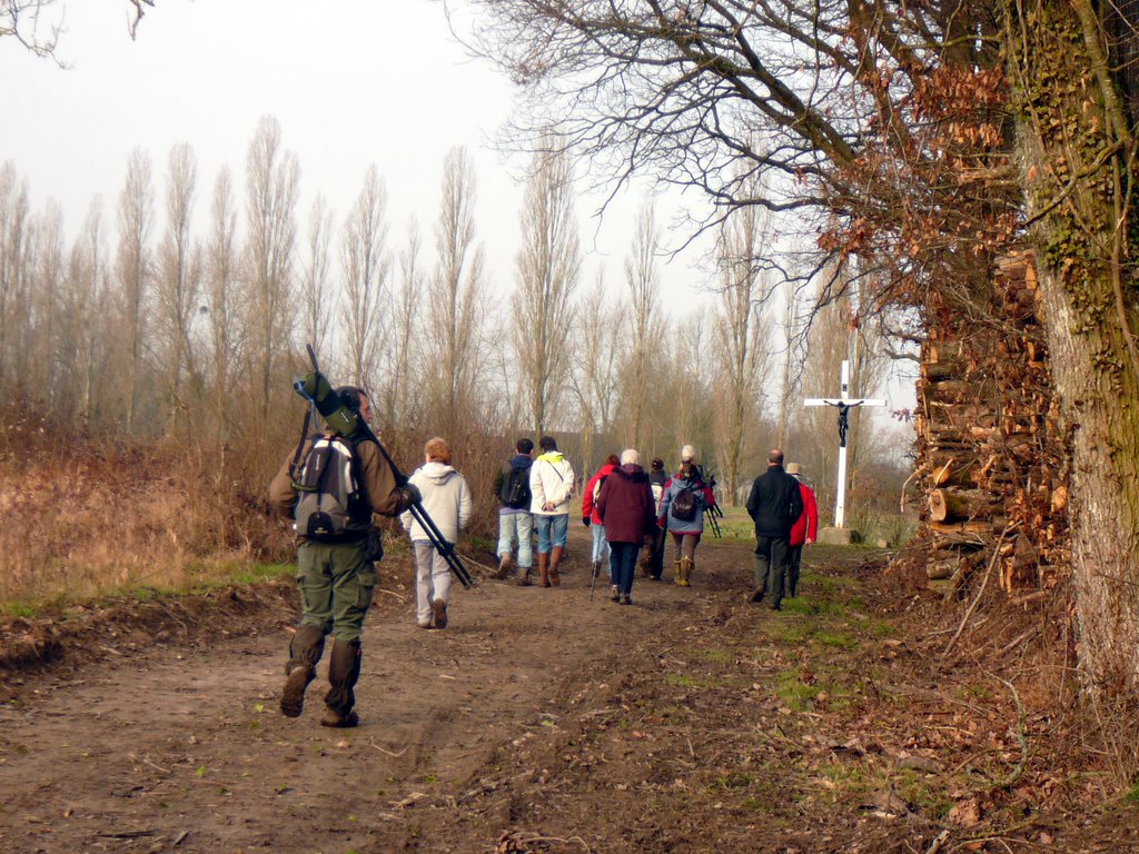 2012 02 Ornitho à St Hubert 13
